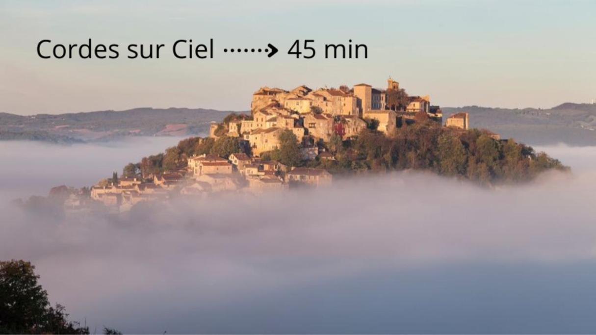 L'Hotel Particulier D'Albi Exteriér fotografie